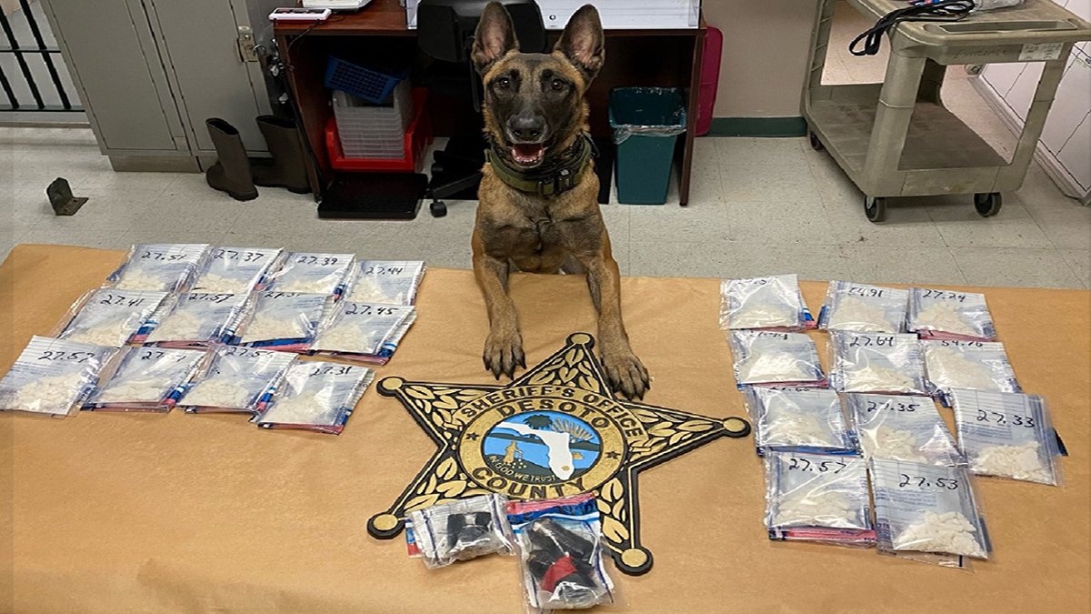 Woman Brought Baby, Stash of Drugs to Florida Prison Visit – NBC 6 ...