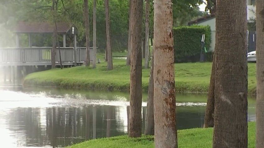 Man Drowns Trying to Save His Pet