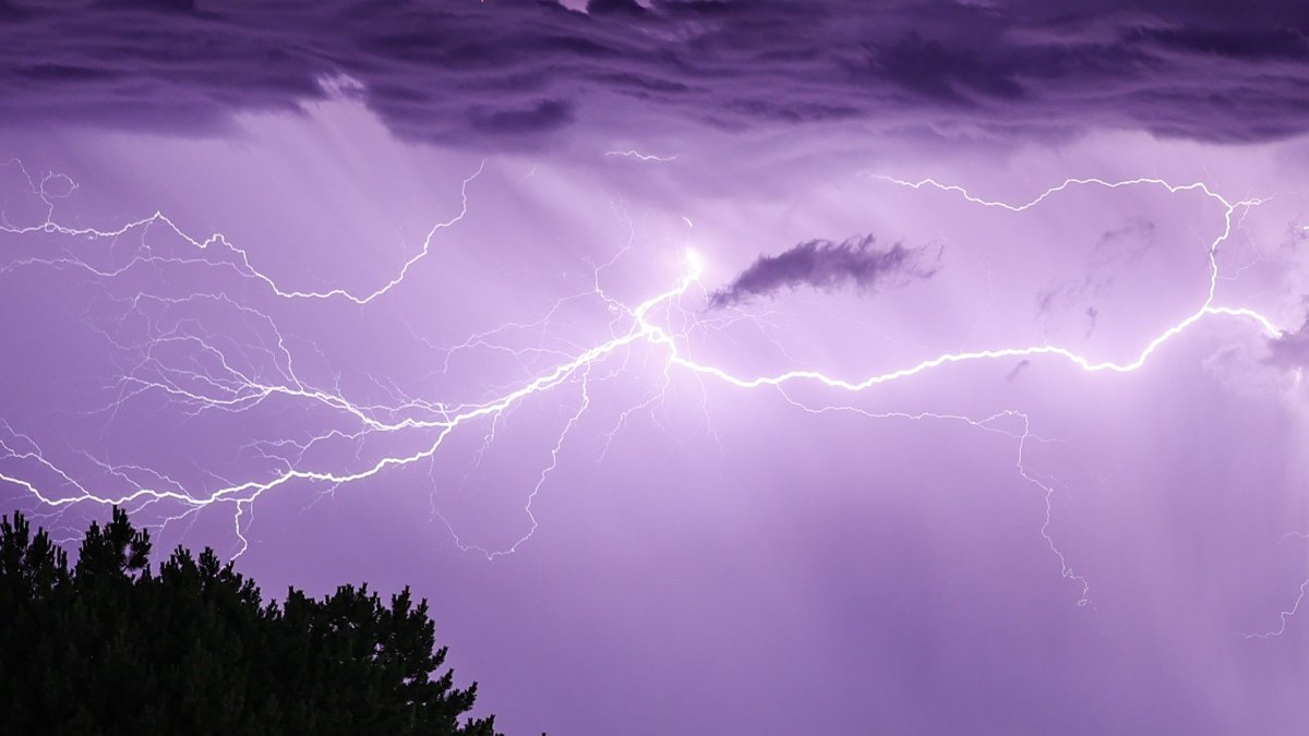 Apparent Lightning Strike Kills Florida Boat Captain and Injures Passenger - Vimarsana News