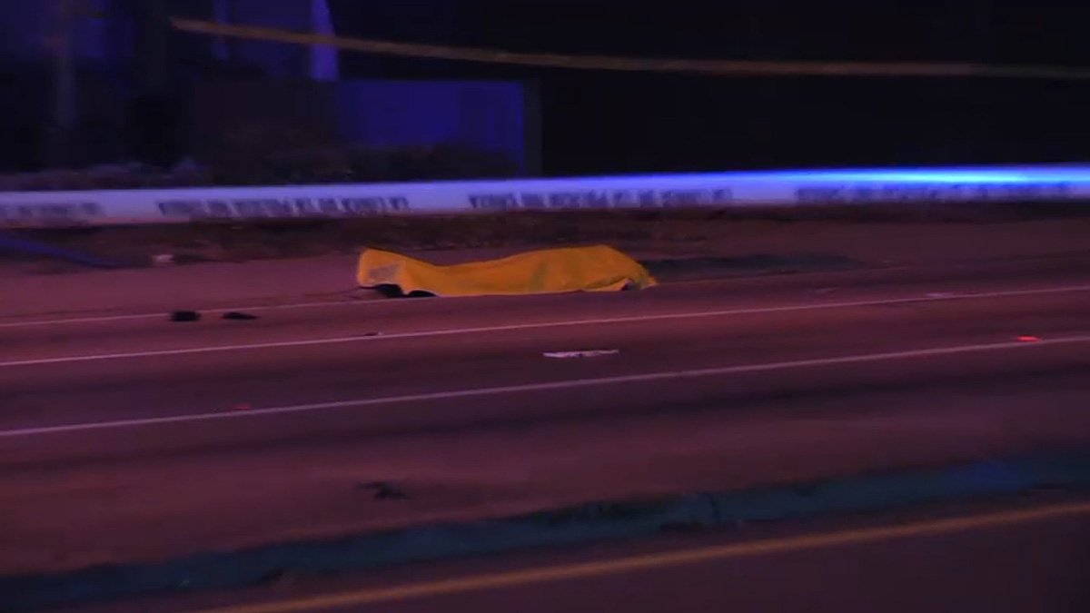 Man Found Shot to Death on Dania Beach Sidewalk – NBC 6 South Florida