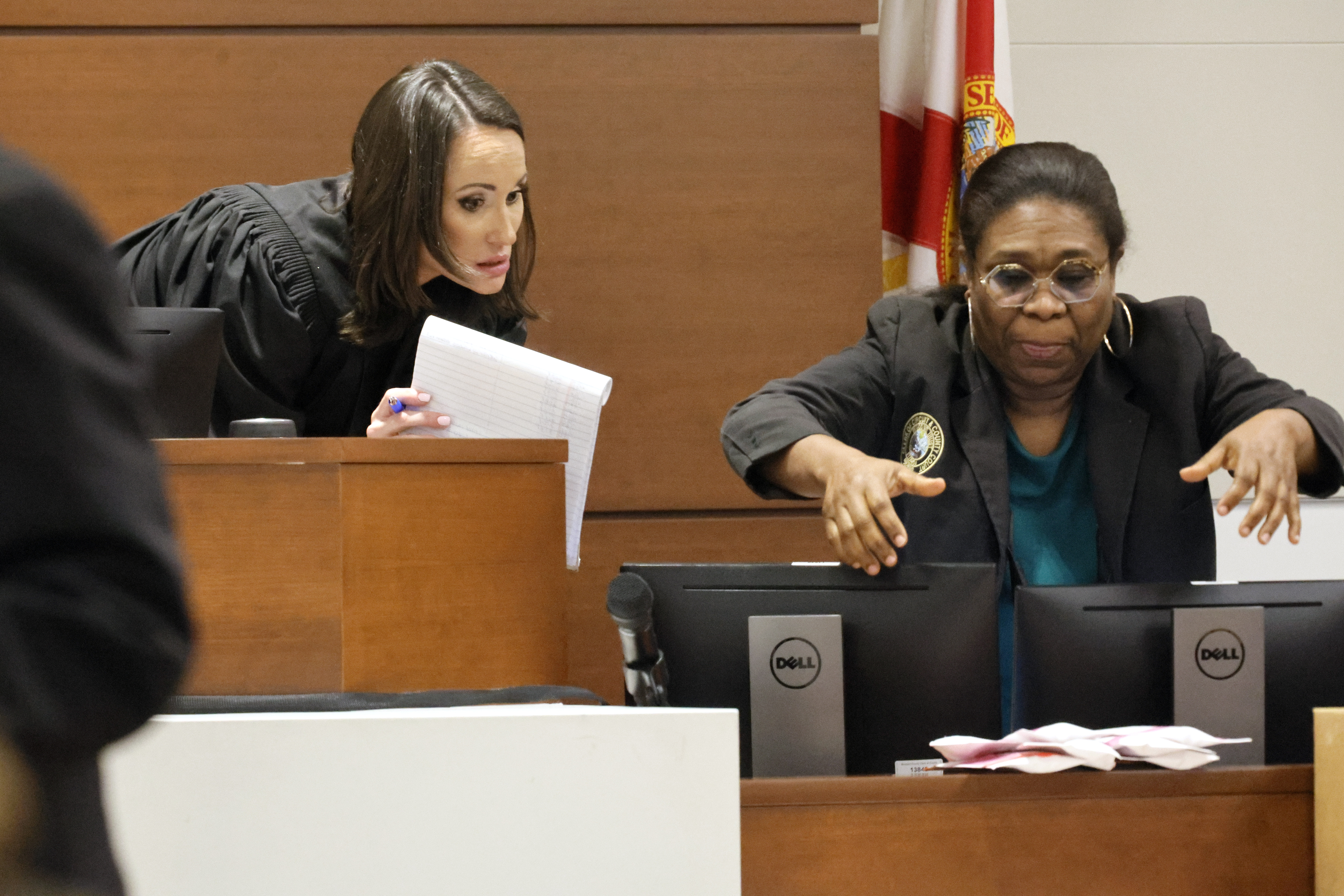 Judge Elizabeth Scherer gathers and organizes evidence.