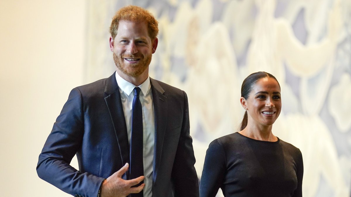 Meghan Markle Celebrates 42nd Birthday With Day Night With Prince Harry