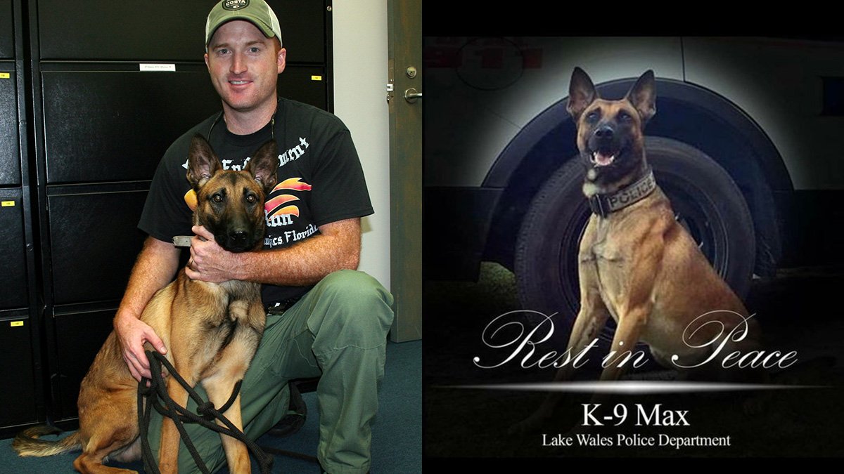 Central Florida Police K-9 Killed During Shootout With Career Criminal