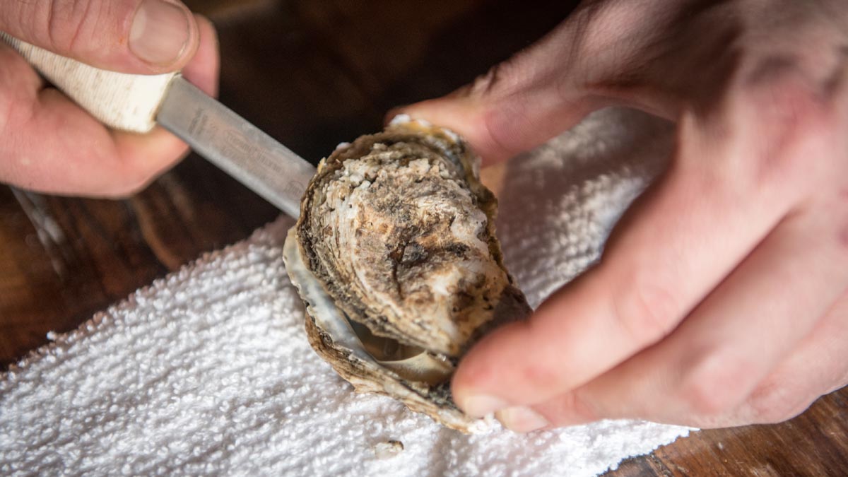 Man Who Died After Eating Raw Oysters Also Had Drugs in System: Medical ...