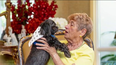 Pet-Sitting Business for Senior Community