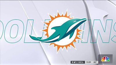 Jason Jenkins Dolphins Senior Vice President Dies – NBC 6 South Florida