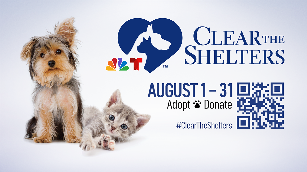 Clear The Shelters 2022 See Participating South Florida Shelters NBC