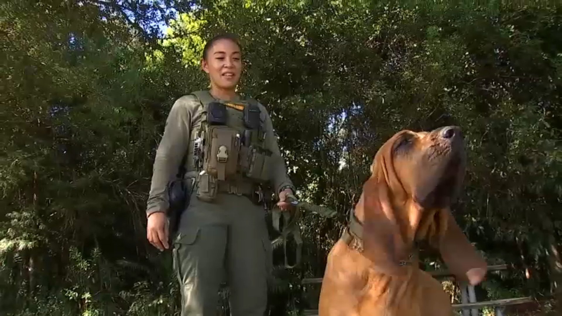 BSO Deputy, K-9 to Receive Award After Finding Missing Teen in Pembroke Pines