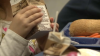Miami-Dade, Broward Public Schools Will Serve Free Meals for 2022-23