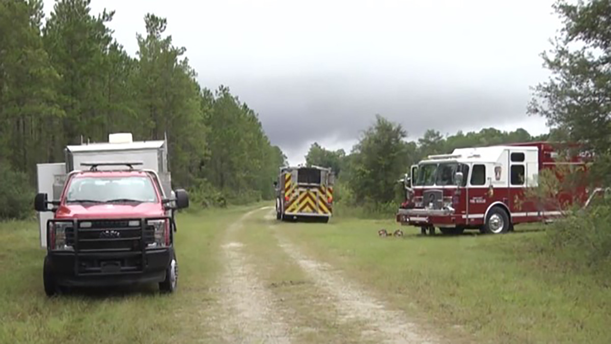 Small Plane Crashes in Central Florida Woods, Killing 2 NBC 6 South