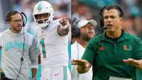 Dolphins, Hurricanes Going in Opposite Directions After First Month of Football Season