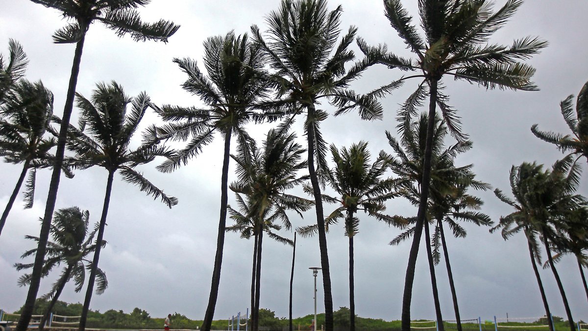 South Florida weather What to expect this Labor Day weekend NBC 6