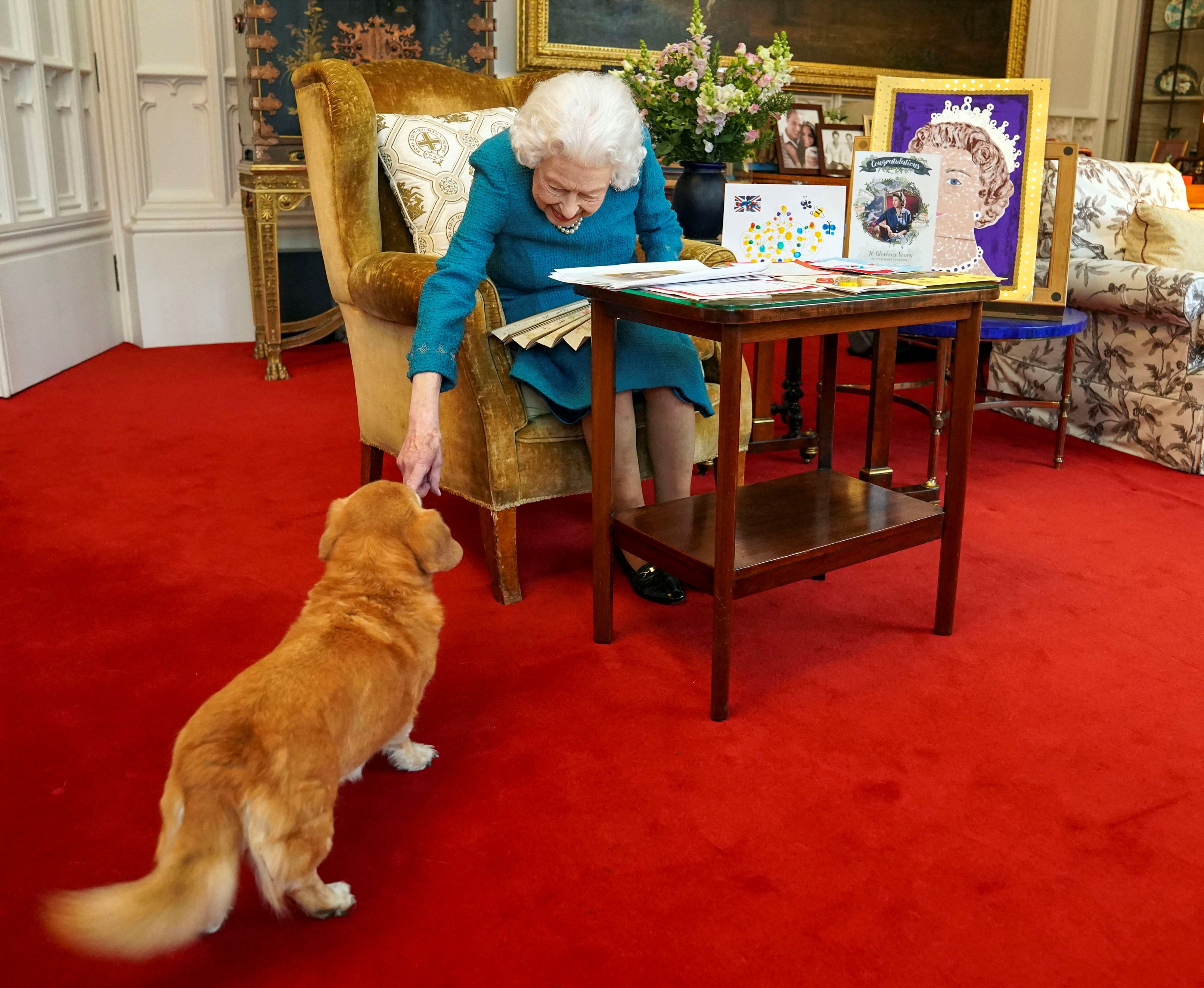 This is Exactly where Queen Elizabeth’s Beloved Corgis Will Are living After Her Dying