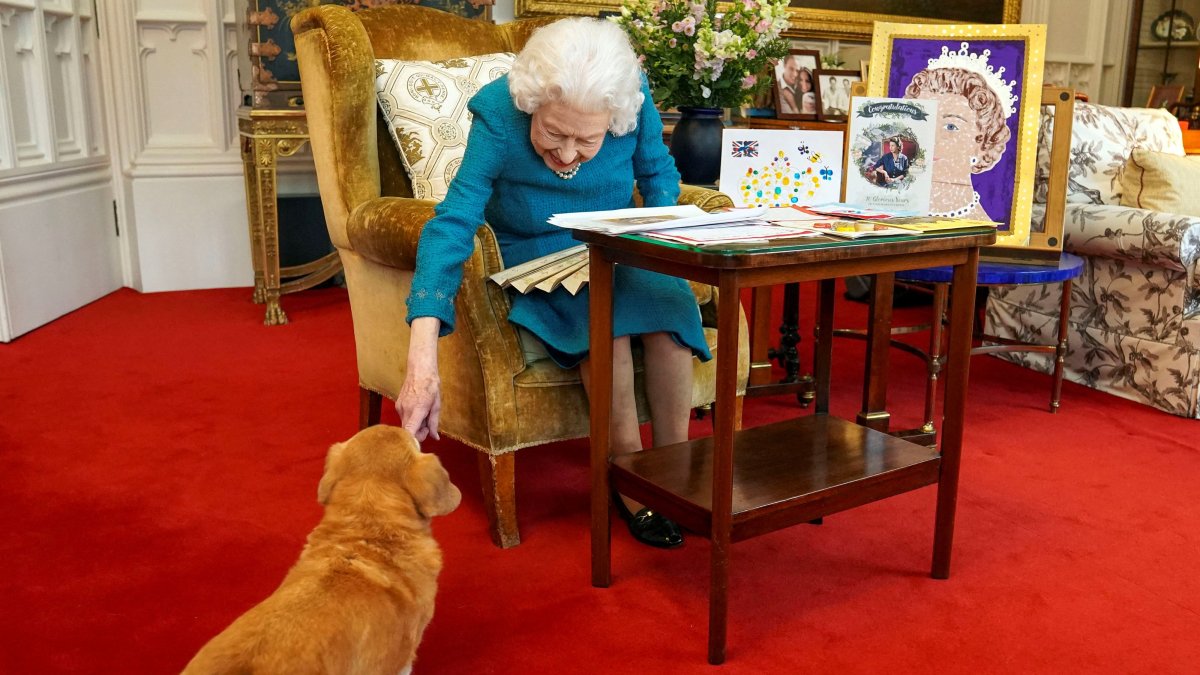 This is Exactly where Queen Elizabeth’s Beloved Corgis Will Are living After Her Dying