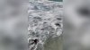 Watch: Giant Wave Sweeps People Off Sidewalk Near South Beach Pier, Injuring 6