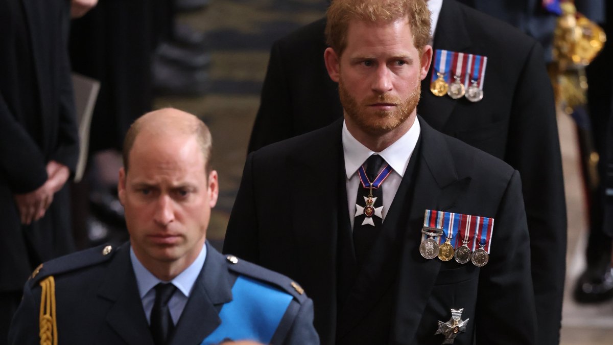 Prince Harry Reportedly Suggests in New Reserve That Prince William Attacked Him All through Argument