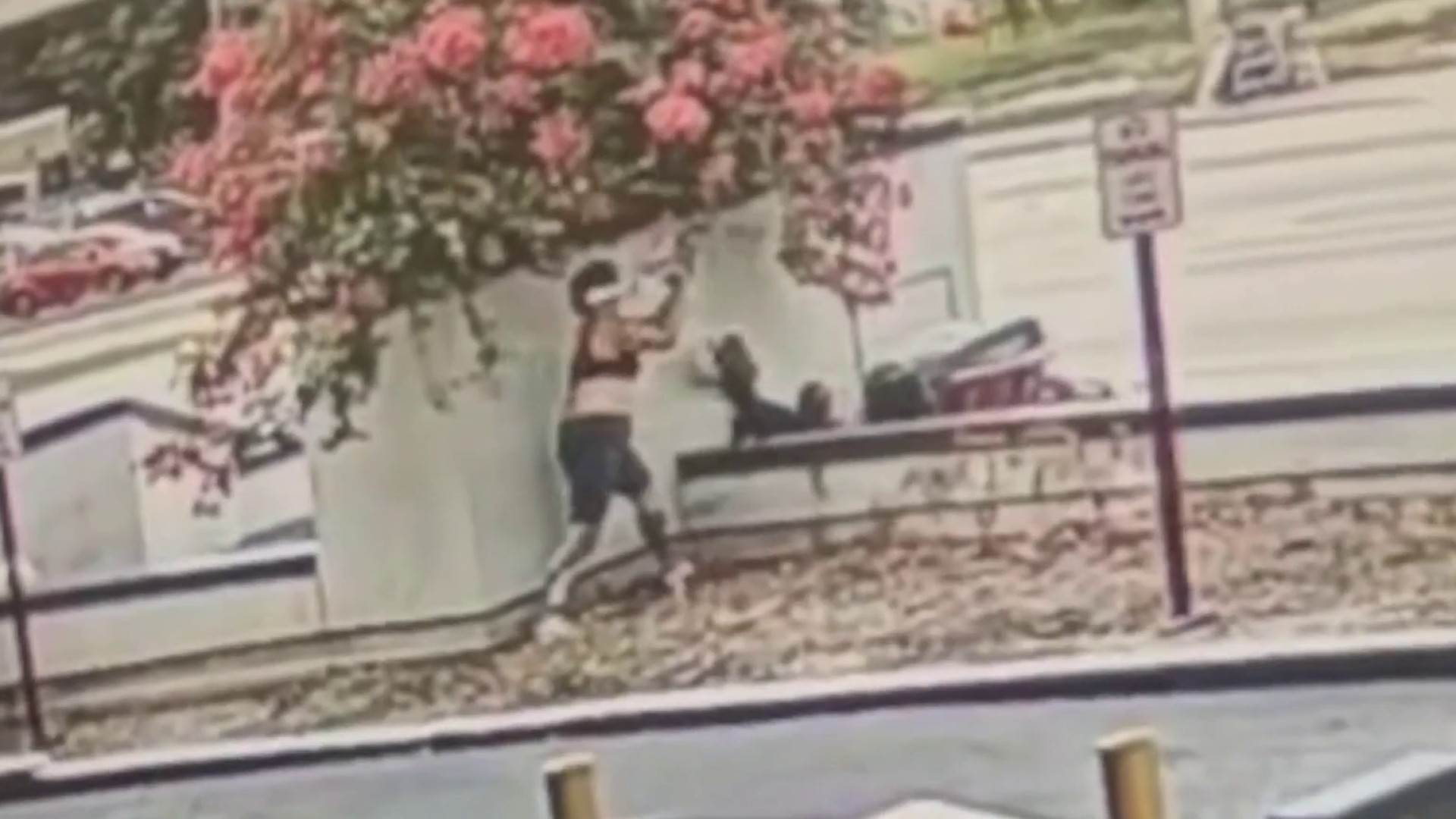 Woman With Same Name as Rapper Tupac Shakur Charged With Battery in Miami-Dade