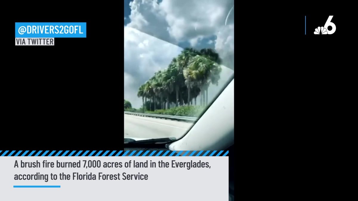 Cell Video Shows Brush Fire Burning in Everglades – NBC 6 South Florida