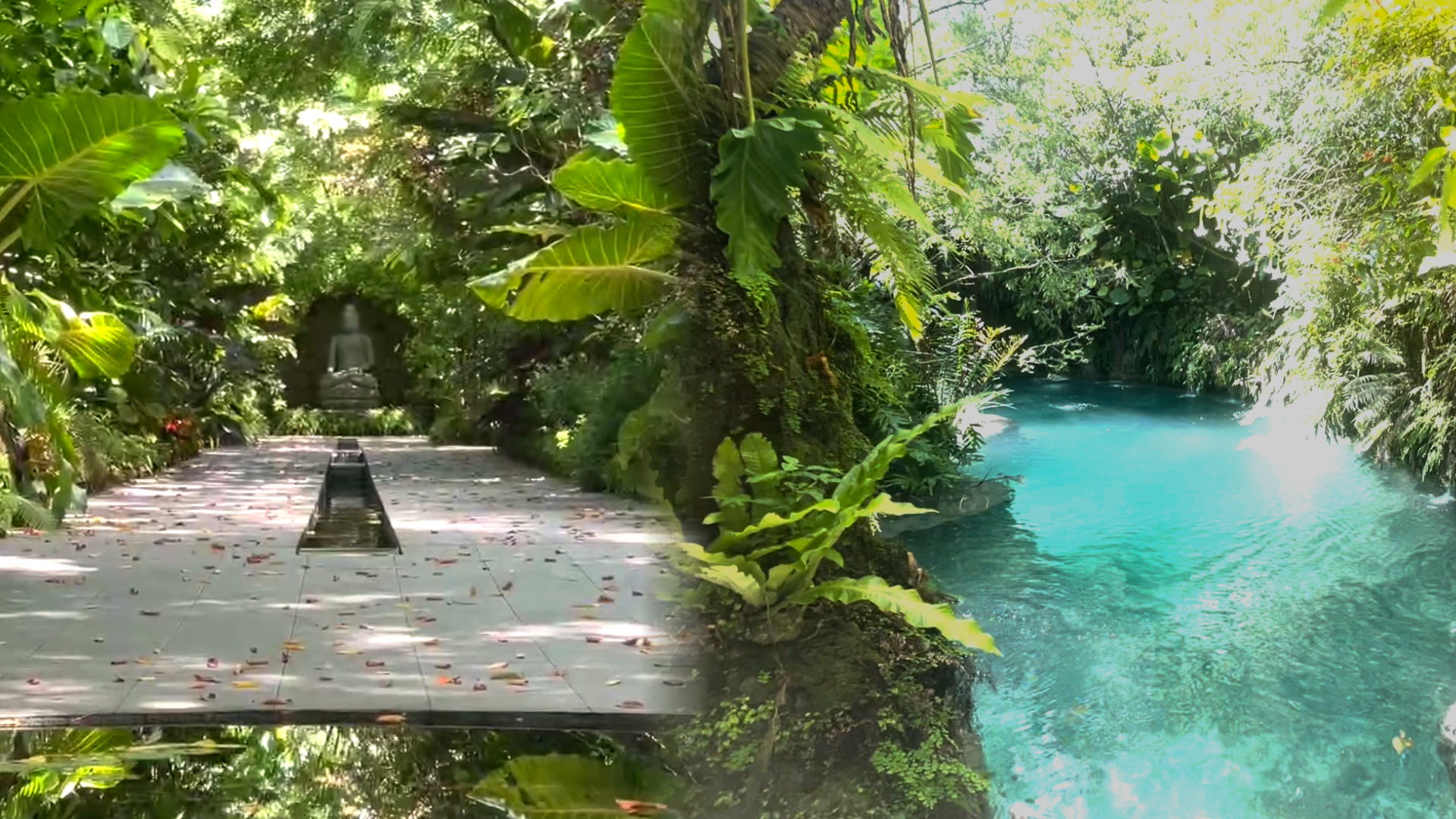 This Hidden Sanctuary is Helping Visitors Reconnect With Nature in Redland