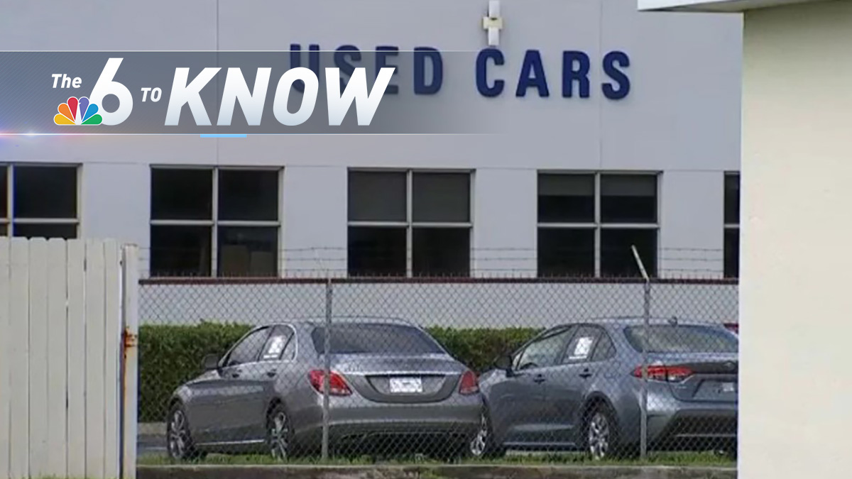 6 to Know: More Than a Dozen Arrested in $1 Million Car Theft Ring in Miami-Dade