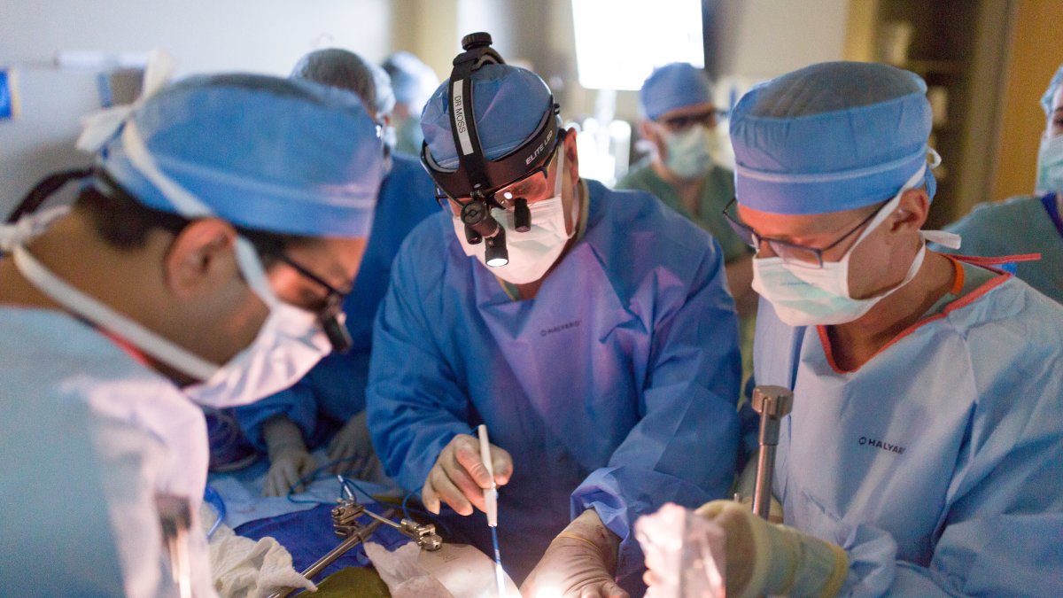 How Organ Donation Works in the United States – NBC 6 South Florida - Vimarsana News