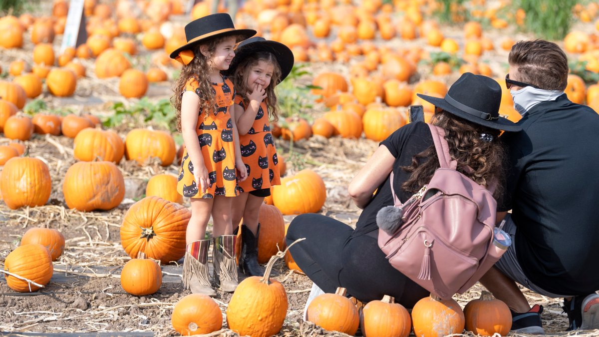 Fun Fall, Halloween Events Happening in South Florida This Month