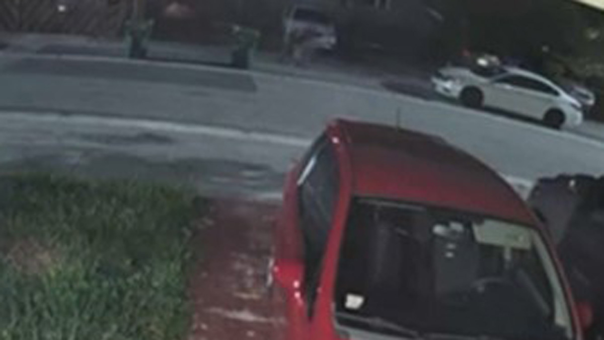 Video Shows Woman Struggling With Attempted Abductor in Miami