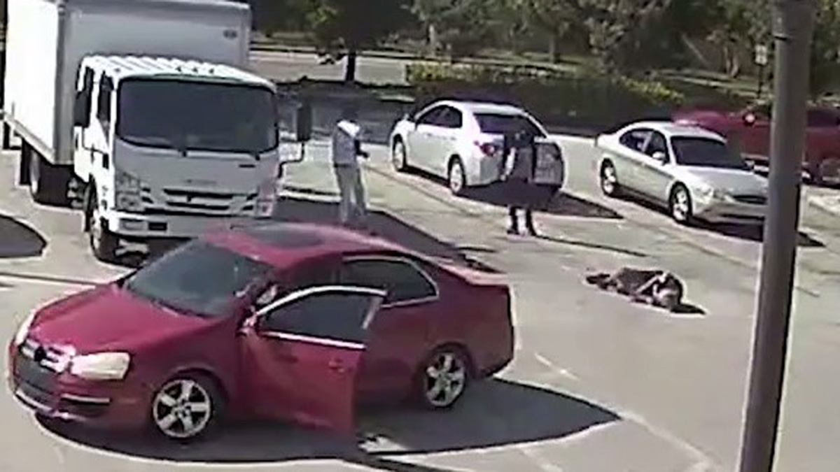 Video Shows 82-Year-Old Man Carjacked, Pushed to Ground in Lauderdale Lakes