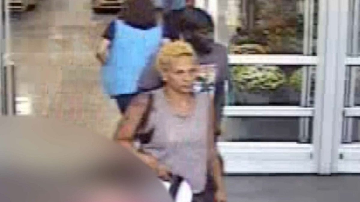 Suspects caught on camera stealing purses from Dillard's