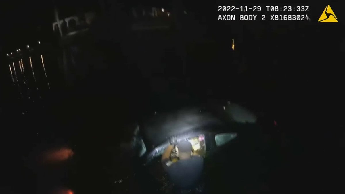 Video Shows Police Rescue Woman From Car Sinking in Florida Canal – NBC ...