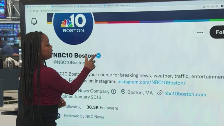 What to Know About Twitter's New Blue Check Program