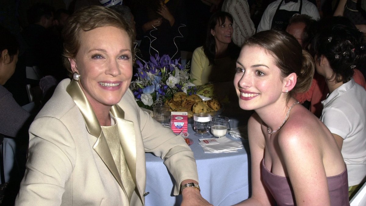 A New ‘Princess Diaries’ Film Is Going on