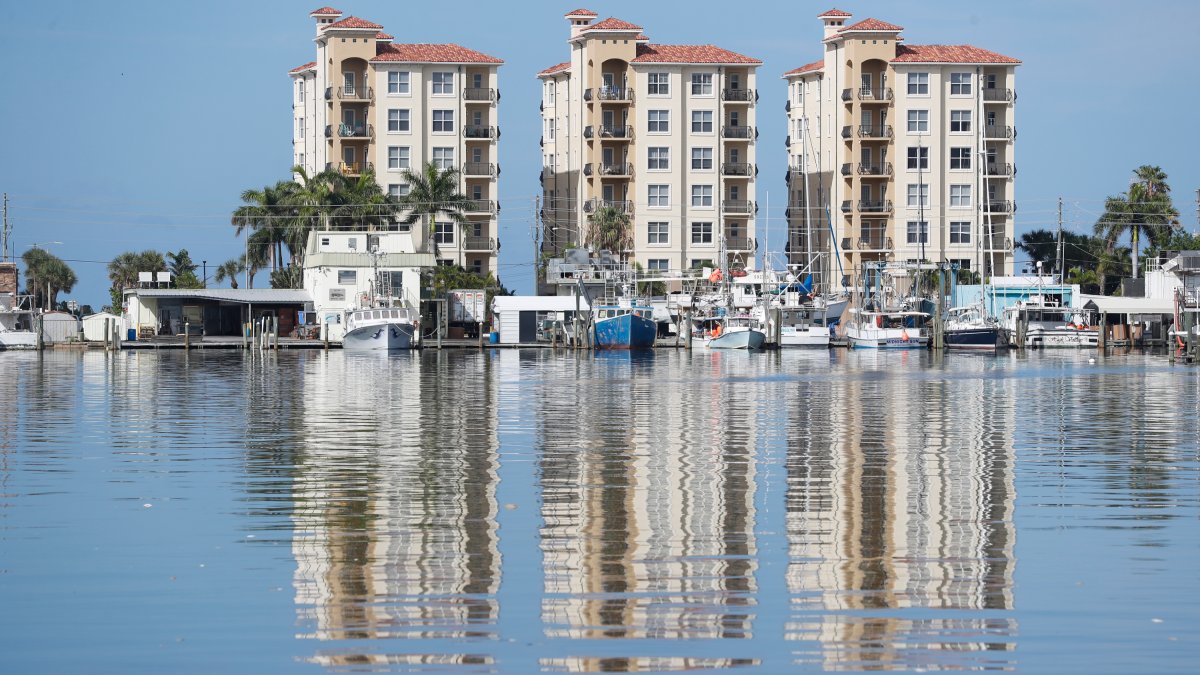 State Report Shows Toxic Algae Levels Along Florida's Coast - Vimarsana News