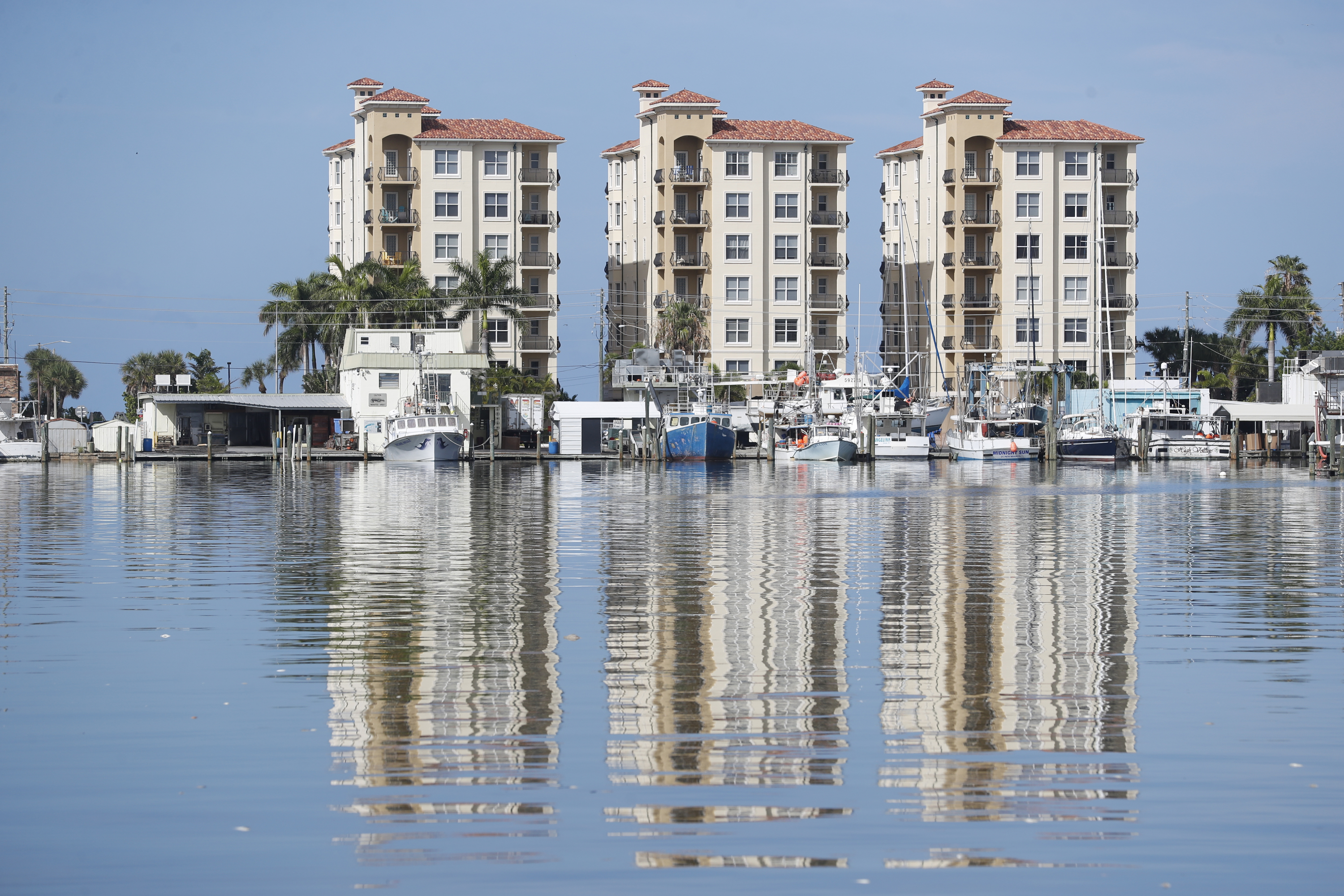 State Report Shows Toxic Algae Levels Along Florida's Coast