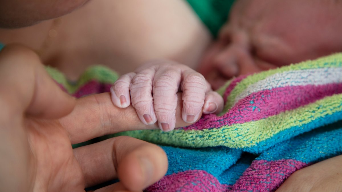 Home Births Increased in the US During COVID-19, Data Shows – NBC 6 South Florida - Vimarsana News