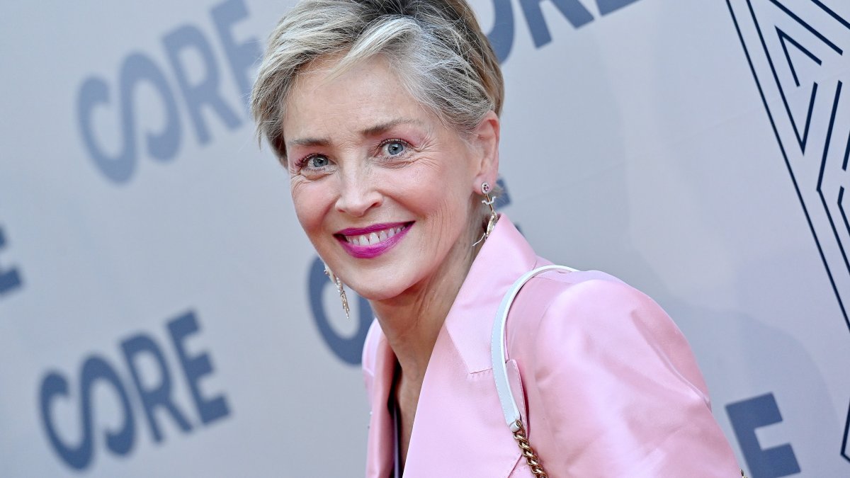 Sharon Stone Says Medical doctors Located Significant Fibroid Tumor Soon after Unique ‘Misdiagnosis and Incorrect Procedure’