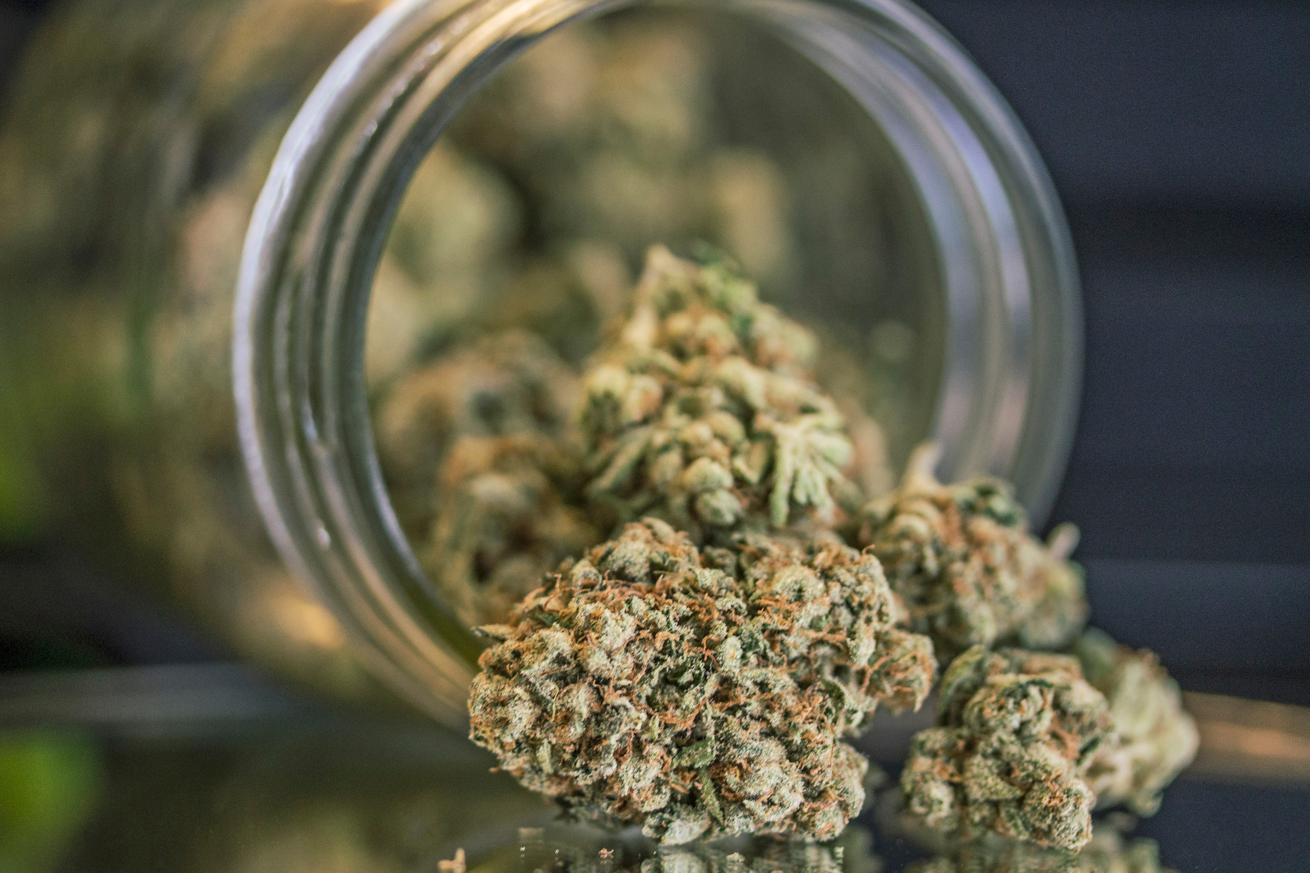 Signatures to back Florida recreational-marijuana constitutional amendment reaches 760,002