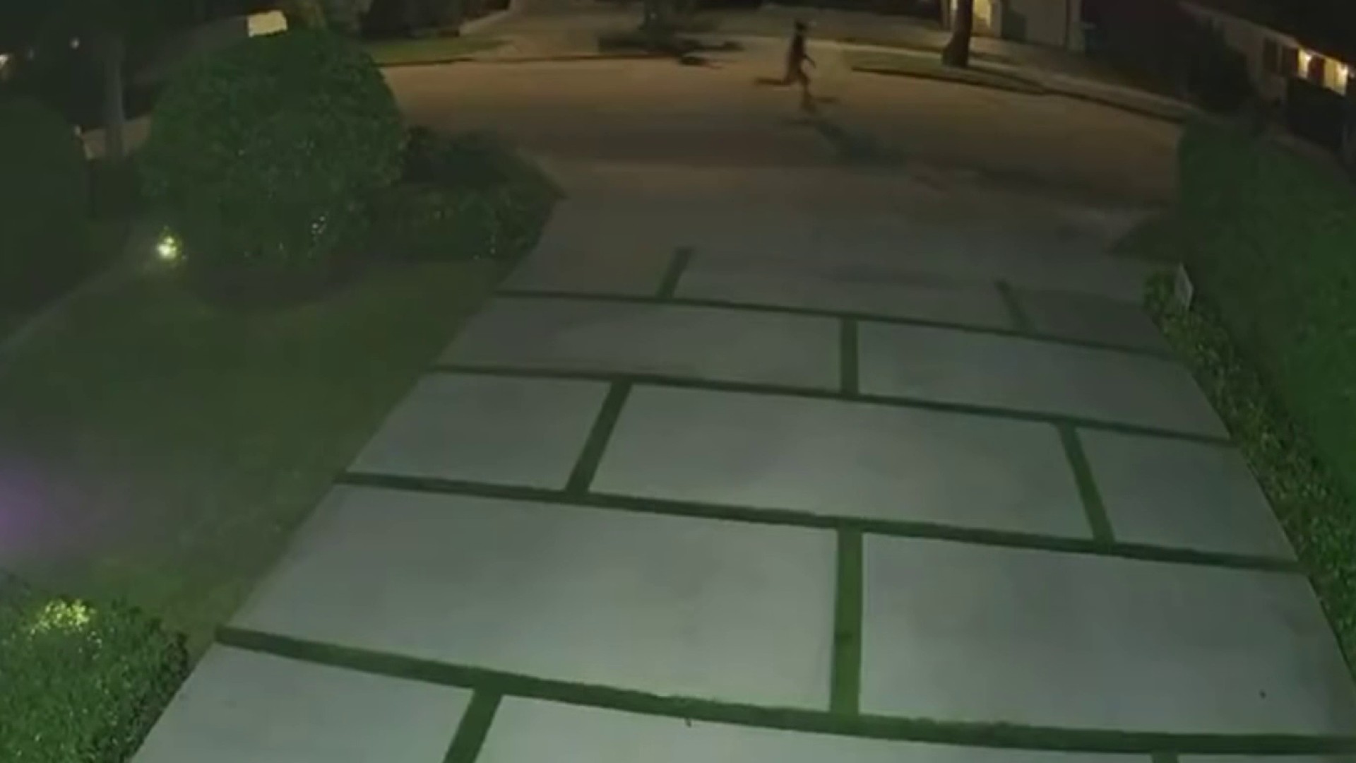 Woman Screams to Ward Off Attempted Abductor in Miami: Police