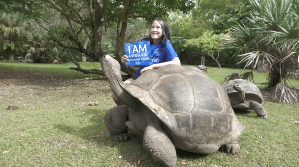 Make-a-Wish Grants Zoo Miami Trip to Aspiring Zoologist