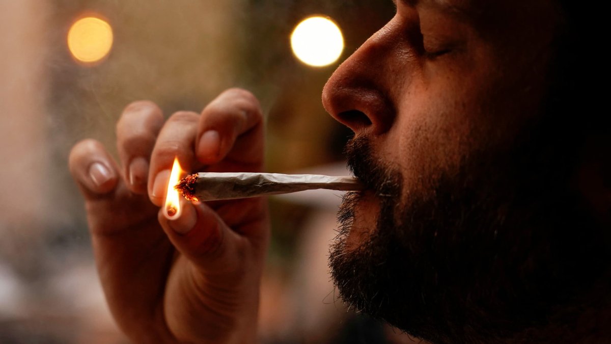 Marijuana Industry Sales Slow Down After Pandemic Surge - Vimarsana News