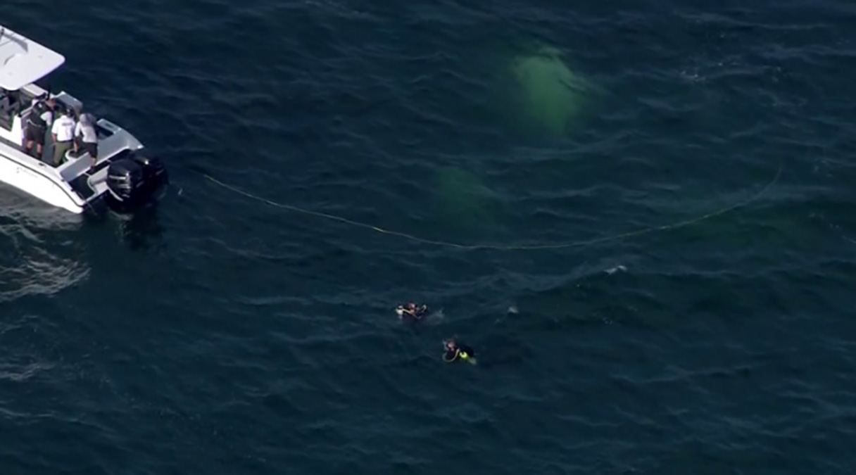 Airplane Crash in Gulf of Mexico Leaves 2 Dead, 1 Missing