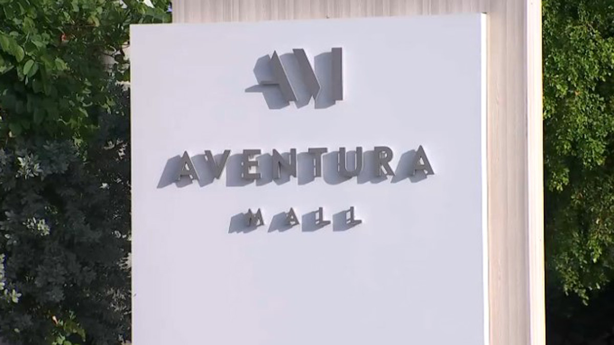 Pair stole woman's wallet at Aventura Mall, went on Apple and Target spending sp...
