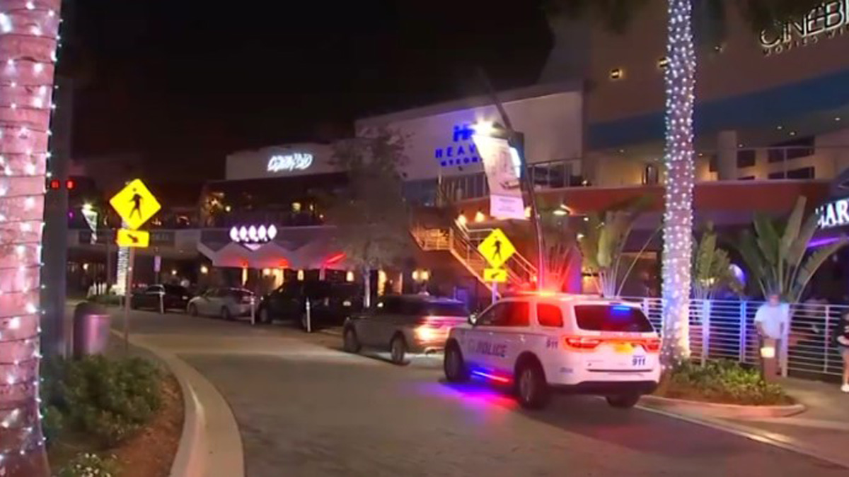 Robber Choked, Used Zip Ties on Restaurant Manager at CityPlace Doral: Police