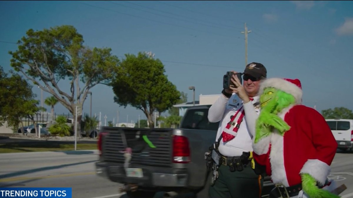 Grinch in a police car: Hillsborough officer has new 'passenger' for  holiday season