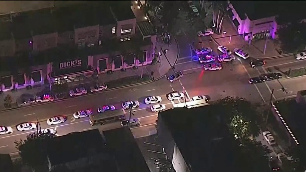 Man Barricade in NE Miami Apartment Building After Officer Involved ...