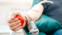 FDA Proposes Easing Restrictions on Blood Donation for Gay Men in Monogamous Relationships