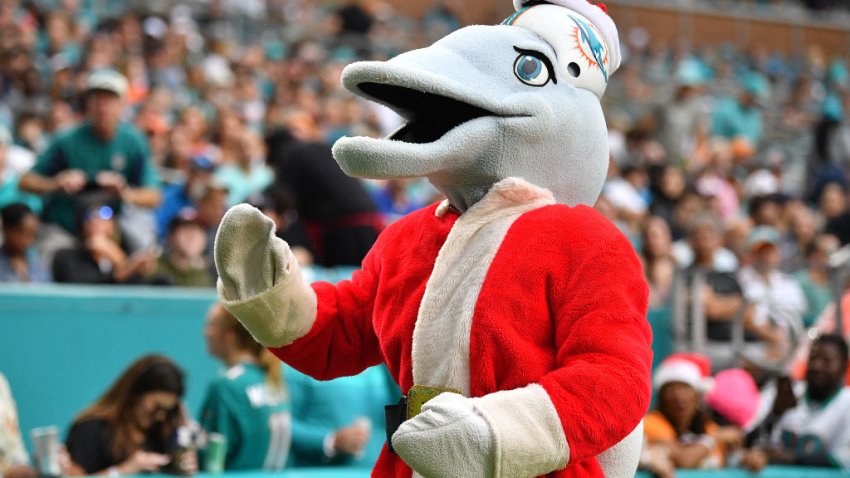 Packers, Dolphins Meet on Christmas With Playoff Aspirations – NBC 6 South  Florida