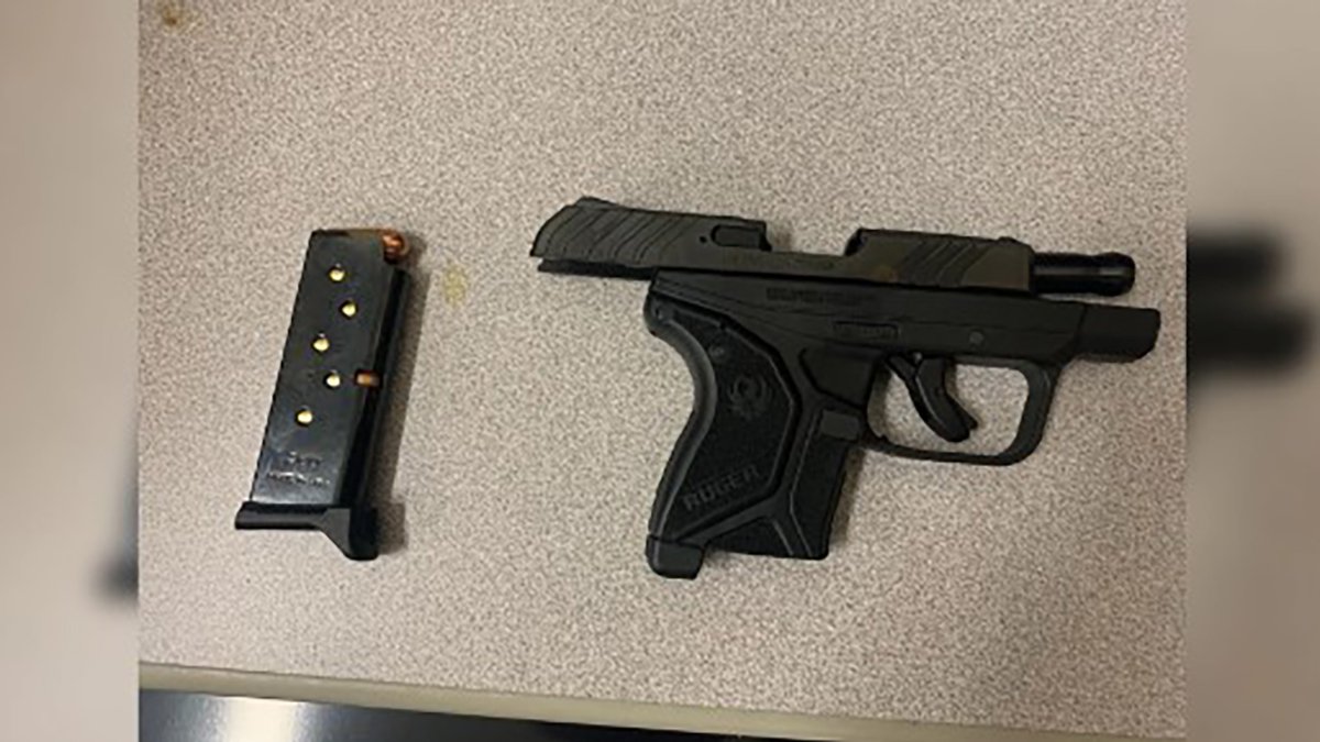 Teen Arrested After Bringing Loaded Gun to High School in Tampa – NBC 6 ...