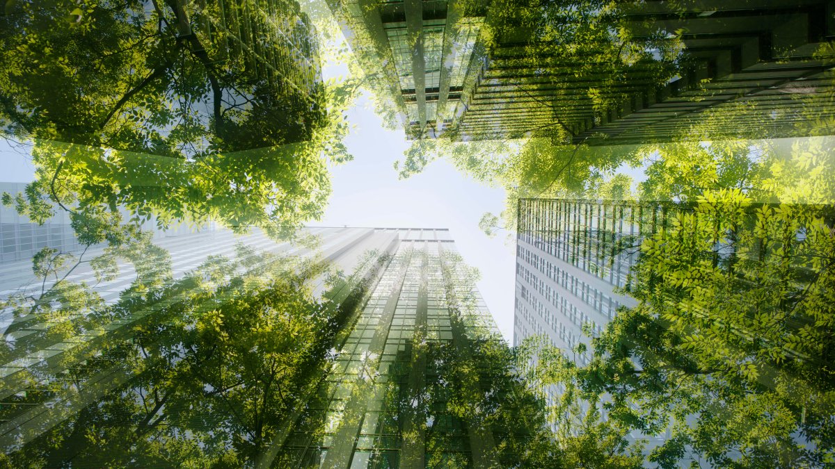 'Green' Offices in London Are Over 25% More Expensive. But a Modern Workforce Now Expects It – NBC 6 South Florida - Vimarsana News
