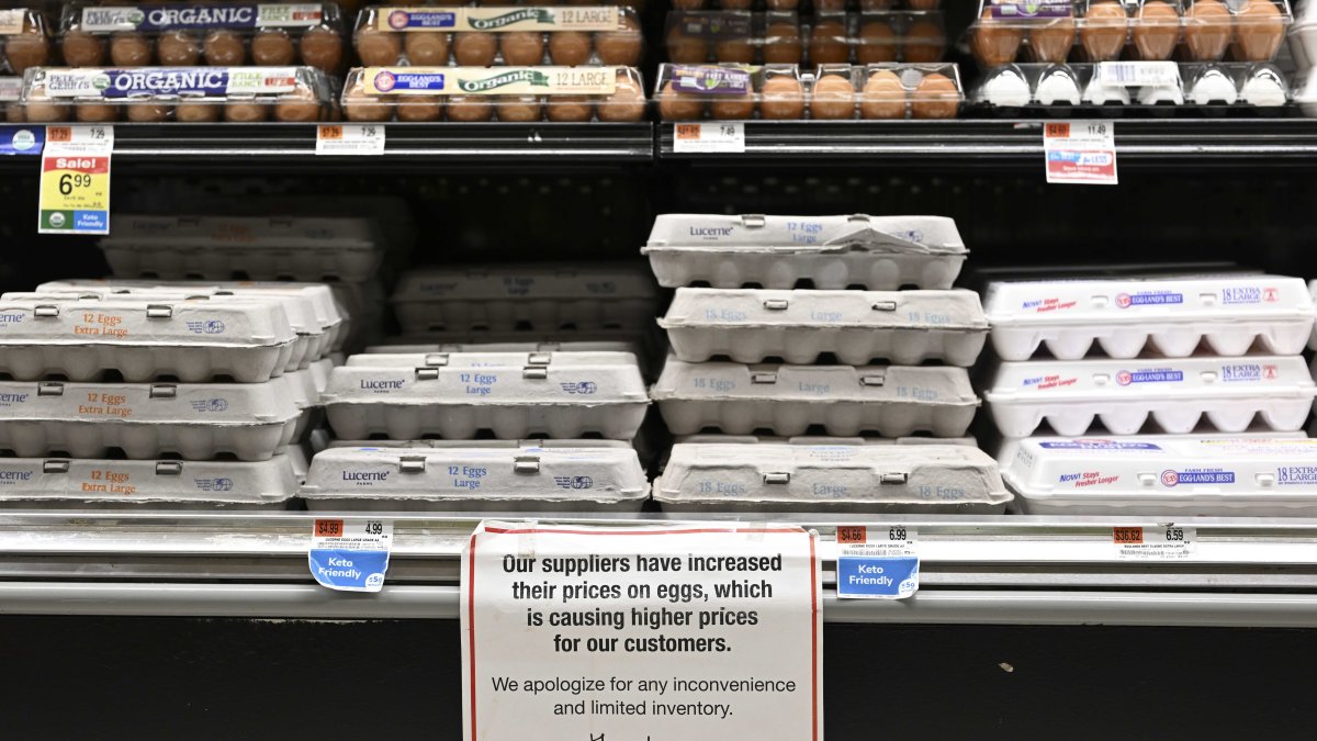 Egg Prices Rose 60% in 2022. One Farm Group Claims It's a 'Collusive Scheme' by Suppliers – NBC 6 South Florida - Vimarsana News